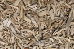 biomass boilers Dallicott